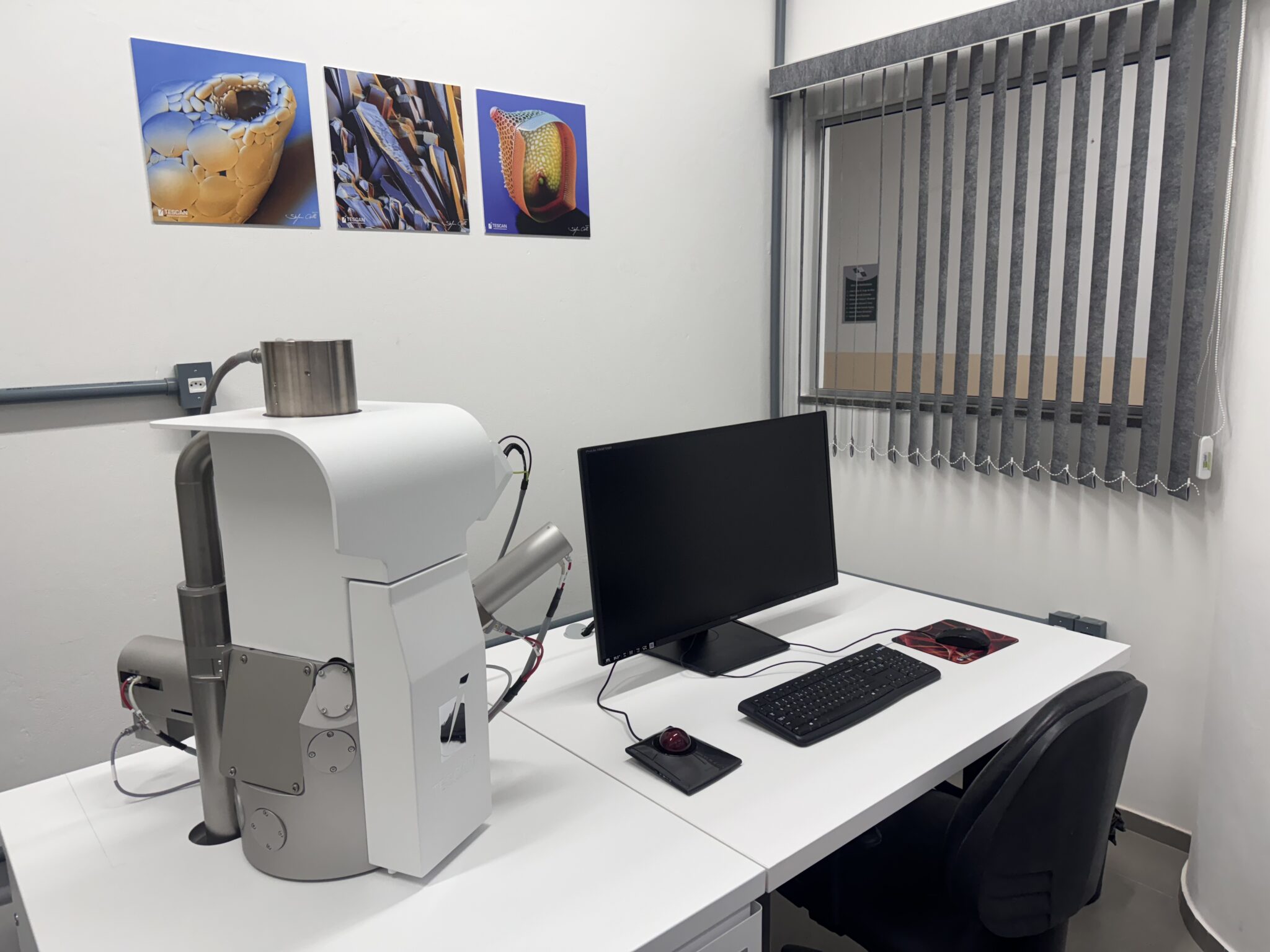 MEV VEGA G4 LMS _ TESCAN EDS