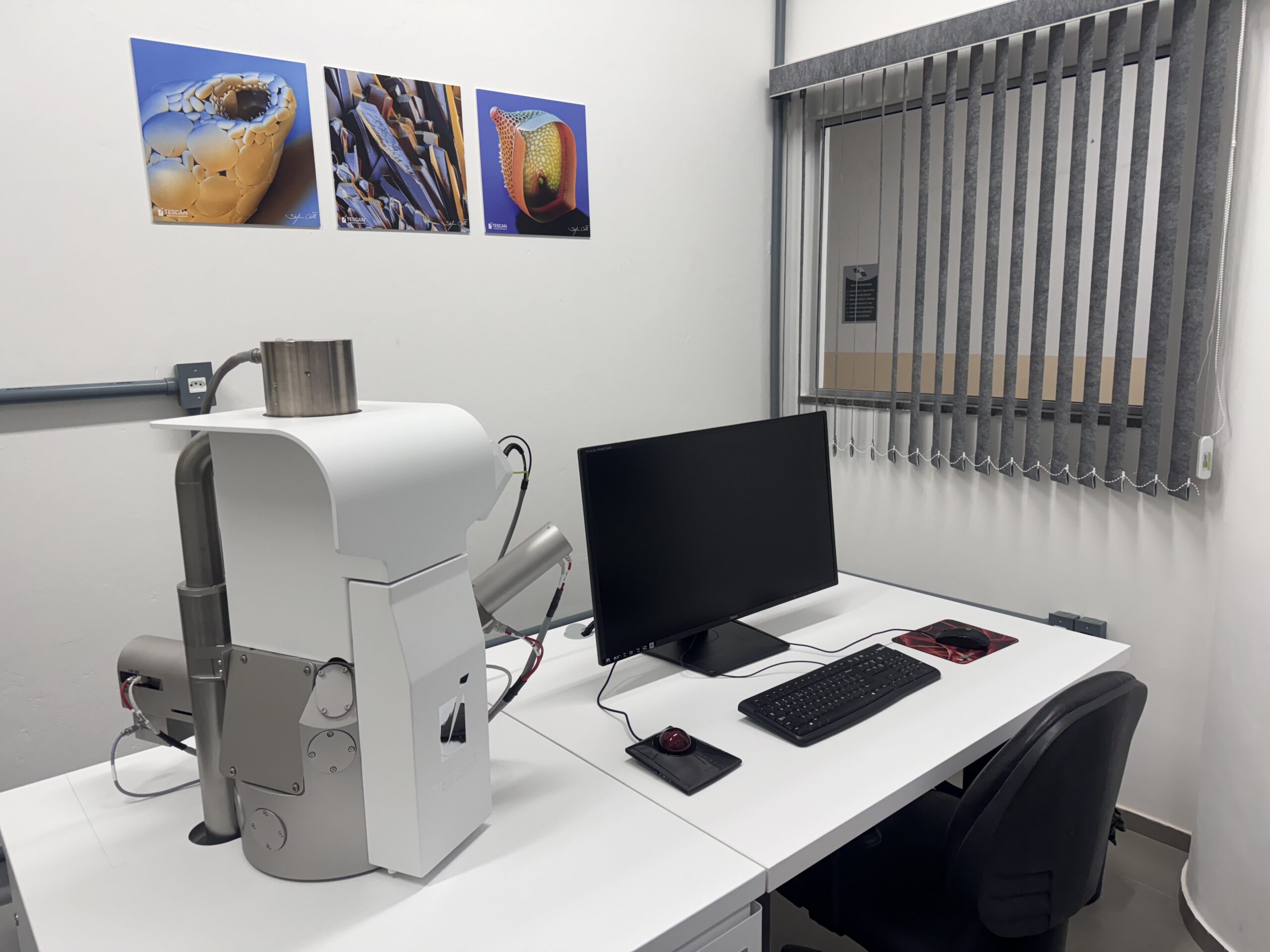 MEV VEGA G4 LMS _ TESCAN EDS